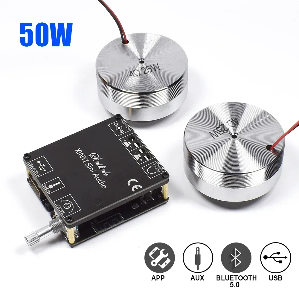 Altavoz de Audio estéreo portá - Home Cinema Ampli reseña y precio